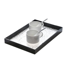 Acrylic Tray